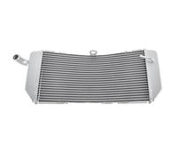 CLWYWUL Serbatoi radiatore per Moto Compatibile con Tmax530 2012 2013 2014 2015 2016 Protezione per Griglia Radiatore Protezione Termica per Serbatoio Refrigerante Motore Moto(Silver)