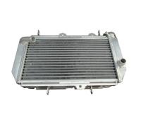 CLWYWUL Serbatoi radiatore per Moto Compatibile con YFZ450R per YFZ450X 2009 2010 2011 2012 2013 Radiatore di Raffreddamento in Alluminio Radiatore Raffreddamento Serbatoio Raffreddamento del Liquido