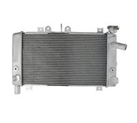 CLWYWUL Serbatoi radiatore per Moto Compatibile con ZX-4R per ZX-4RR 2023 2024 Radiatore Raffreddamento Motore Radiatore Acqua Liquido di Raffreddamento Serbatoio di Trabocco Vaschette OEM:39060-0758