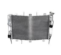 CLWYWUL Serbatoi radiatore per Moto Compatibile con ZX6R 2003 2004 Radiatore Motore Raffreddamento Motore Sostituzioni Radiatore Refrigerante Serbatoi Refrigerante OEM: 39061-0010