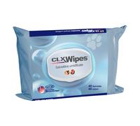 Clx Wipes - 40 Salviette Multiuso