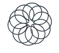 Clynex 10 Set di Fasce Elastiche for generatore ET950 Anello del pistone della Motosega