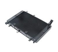 Clynex di raffreddamento del dispositivo radiatore motore ricambio nero for moto, for, FZS1000 2001-2005 2004 2003 2002 Sostituzione del radiatore del motore della motoci