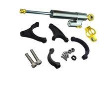 Clynex Parti for skateboard elettrico Accessori for scooter Wolf King GT, for KAABO, Warrior 11 pollici Ammortizzatore sterzo scooter(BLACK Silver Gold10)