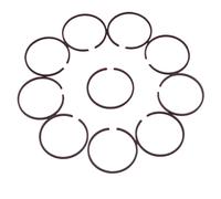 Clynex Set di Fasce Elastiche da 10 Pezzi, for FS250 FS280 FS290 Tagliaerba Decespugliatore Motore Motore Pezzo di Ricambio 40mm X 1,5mm Anello del pistone della Motosega