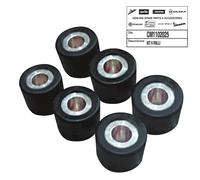 Piaggio Set rulli variatore CM1102025 19x15,5 mm 6,0 g 6 pezzi