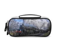 Cmagnifico Borsa cosmetica portatile/borsa della penna, borsa ferroviaria del vapore della cancelleria usata come astuccio per l'ufficio e la scuola, borsa da viaggio d'affari o piccola scatola degli