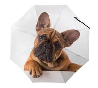 Cmagnifico Ombrello pieghevole, ombrello con zampa di bulldog francese e cane, ombrello da viaggio con apertura e chiusura automatica, antivento, impermeabile, Bulldog francese con zampa e cane