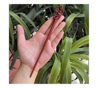 Cmis Kbei Forcina per capelli in stile retrò cinese intagliato a mano, in legno di pesca, forcina per capelli da donna, accessori per capelli (20)