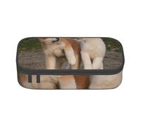 CMJSGG Due simpatici cani Akita, Astuccio per matite, Astuccio per matite Astuccio per penne a matita di grande capacità Borsa per cosmetici