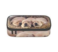CMJSGG Piccoli cuccioli di Labrador Golden Retriever, Astuccio per matite, Astuccio per matite Astuccio per penne a matita di grande capacità Borsa per cosmetici