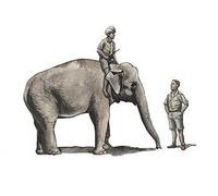 CMK 129-F48345 - 1:48 WWII Raf Mechanic IN India + Elephant Con Mahout - Nuovo
