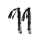 Cmp Aeryth Poles Argento 63-140 cm