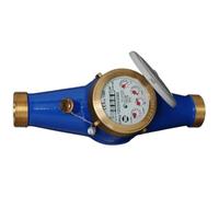 CMS Contatore per Acqua a Getto Multiplo con rulli protetti 1" 1/4, Multicolore