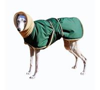 CMZYBBD Cappotto Cane Cappotto Caldo E Impermeabile per Cani - Giacca Spessa per Cani di Taglia Media E Grande, Ideale per Levrieri, Levrieri Lupo, Pastori E Altro Ancora-verde-5xl