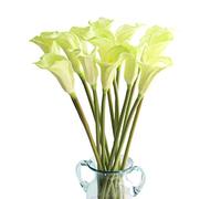 cn-Knight 10pcs di Gigli di Calla Artificiali, Fiori Artificiali con Stelo Lungo 67cm, Gigli di Calla Realistici per Bouquet da Sposa, Decorazioni per la Casa,Verde