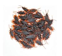 CNAFGBGG 50 Pezzi Scherzi scarafaggi, sembrano Veri Giocattoli di plastica, scherzi di Insetti Spaventosi, bavaglio Realistico di Insetti, novità scarafaggi per la Festa di Halloween (50 Pezzi).