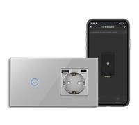 CNBINGO Interruttore della luce Smart Touch con presa USB Schuko, con connettore USB e tipo C (max. 3,1 A), interruttore della luce WLAN per Alexa, Google Assistant, presa da parete a incasso, grigio
