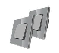 CNBINGO - Set di 2 interruttori a pulsante con punti fluorescenti, moderno pannello da parete in cristallo grigio, interruttore elettrico singolo, 1 interruttore