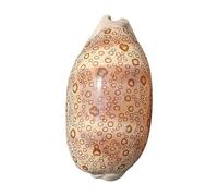 CNDBAHHE Grandi Conchiglie Marine, Conchiglia Naturale, Conchiglie da 6-9 cm, Esemplare di Lumaca, Naturalmente Belle for Feste, Matrimoni, Decorazioni for la casa, Accessori(8~9cm)