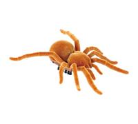 Cndiyald Ragni falsi interattivi divertenti tarantula tarantula ragno giocattolo complicato modello di azione realistica apprendimento educativo ragno realistico per regalo di oggetti di scena, falso