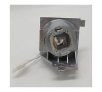 CNJWBGCJ Lampada for proiettori Adatto a Viewsonic RLC-109 PA503W PG603W PS501W PS600W VS16973 VS16977 pezzi di ricambio
