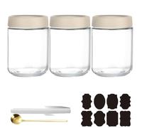 CNKHDZ Overnight Oats - 3 barattoli Overnight Oats con coperchio, Meal Prep, riutilizzabili per marmellate fatte in casa, Mason Jar con cucchiaio, etichetta (bianco, 500 ML)