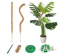 CNMTCCO Monstera - Tutore, 60 cm, tutor per piante, tutor in cocco, tutor per piante rampicanti con accessori, palo da coltivazione per piante rampicanti Monstera per giardino familiare