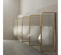 CNPRAZ Divisorio per WC pubblico in acciaio inox con vetro traslucido, maggiore privacy e protezione per servizi igienici