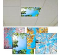 CNSJ 4 coperture per luci fluorescenti per plafoniere, 6 x 6 m, magnetiche, per primavera, estate, autunno, inverno, riduzione dell'abbagliamento intenso, pannello sfarfallio, filtri per aule, uffici
