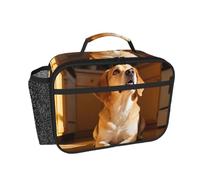 CNTDBU Borsa termica per il pranzo con cane in attesa di cibo, per uomini e donne, borsa termica per lavoro, ufficio, contenitore per il pranzo a tenuta stagna con tasca in rete per cibo