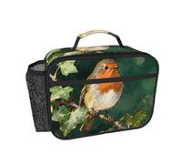 CNTDBU Borsa termica per il pranzo con uccellini dal petto rosso, per uomini e donne, borsa termica per lavoro, ufficio, contenitore per il pranzo a tenuta stagna con tasca in rete per cibo