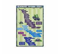CNTUSRXT Blueberry Ripening Time Chart Garden Guide Poster Modern Wall-Art for Kitchen Decor Dining Room Home Office Art Print(Framed,16x24inch(40x60cm))