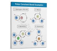 CNTUSRXT Chemistry Wall-Art Polar Covalent Bond Examples Scientific Poster Educational Decor for Study Room Classroom(Unframed,16x24inch(40x60cm))