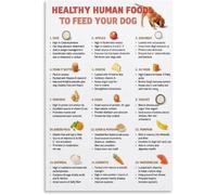CNTUSRXT Feeding Your Dog Right Poster Human Foods That Are Wall Hanging(Unframed,16x24inch(40x60cm))