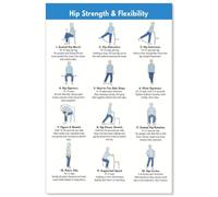 CNTUSRXT Seated Hip Exercises for Seniors Poster Workout Chart for Beginners Chair Mobility Stretches Guide Home Gym Decor Living Room Bedroom Wall(Unframed,12x18inch(30x45cm))
