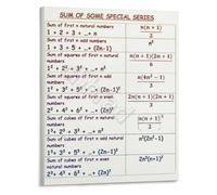 CNTUSRXT Special Series Formulas Poster Mathematics and Calculus Reference Educational Wall-Art for Engineering Study(Unframed,16x24inch(40x60cm))