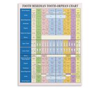 CNTUSRXT Teeth Diagram Poster Vintage Anatomy Chart Oral Health Educational Wall-Art for Science Classroom Office Home Study Decor(Framed,08x12inch(20x30cm))