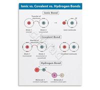 CNTUSRXT Types of Chemical Bonds Poster Covalent and Hydrogen Bond Comparison Educational Science Wall Chart(Framed,08x12inch(20x30cm))