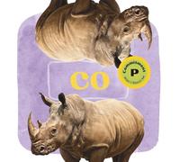 Co the Rhino: Beginnings