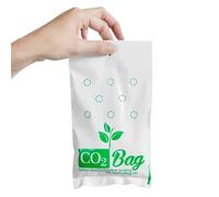 CO2 Bag -CO2 per coltivazione indoor Piccolo, efficiente e conveniente