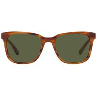 Coach Hc 8313u Occhiali Da Sole Uomo Marrone Squadrato Verde 54mm