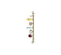 COACH Portachiavi CHAIN BAG CHARM NEW YORK oro