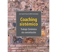 Coaching Sistémico: trabajo Sistemico sin constelacion