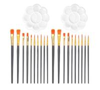 COACOM 20 Pezzi di Pittura E 2 Pezzi di Tavolozza di Plastica, Strumenti di Pittura, Accessori Artigianali Fai -da -Te, Placca di Pigmento.