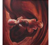 Coalesce 0:12 Revolution in Just Listening (Vinyl LP)