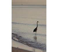 Coastal Calm: A Mindfulness Journal