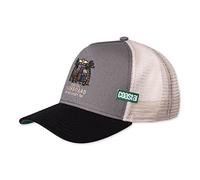 Coastal Delivery Grey/Black HFT Trucker Cap - One-Size