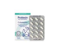 COBALAPLEX (60 cps) - Supporto nutrizionale in capsule per l'assorbimento di vitamina B9 e B12