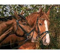 Cobble Hill - Puzzle Amici per sempre - 275 Pezzi